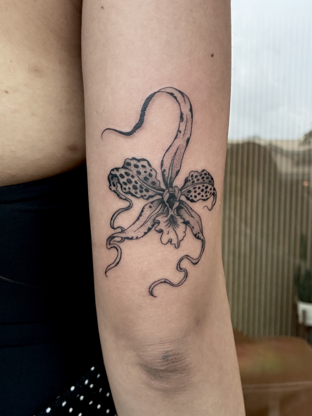 Lily tattoo work at Beach Park Tattoo